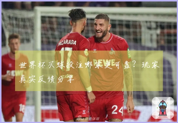 世界杯买球投注哪家更可靠？玩家真实反馈分享