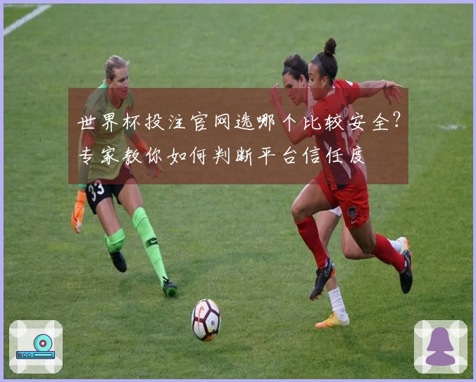 世界杯投注官网选哪个比较安全？专家教你如何判断平台信任度