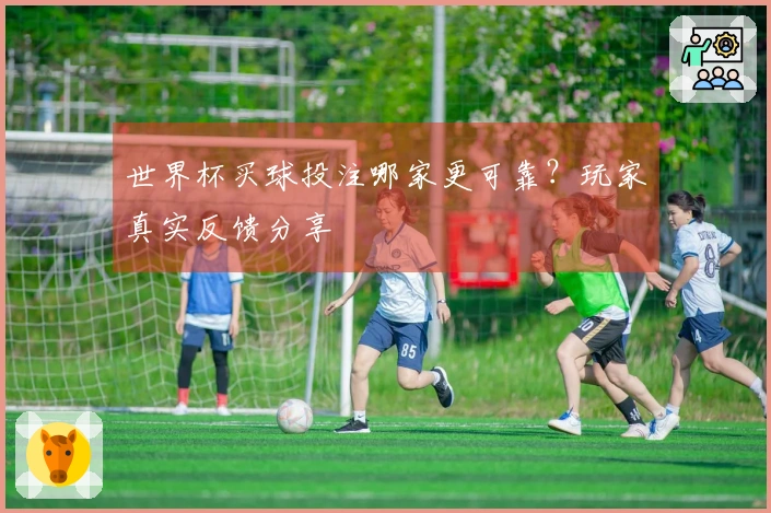 世界杯买球投注哪家更可靠？玩家真实反馈分享
